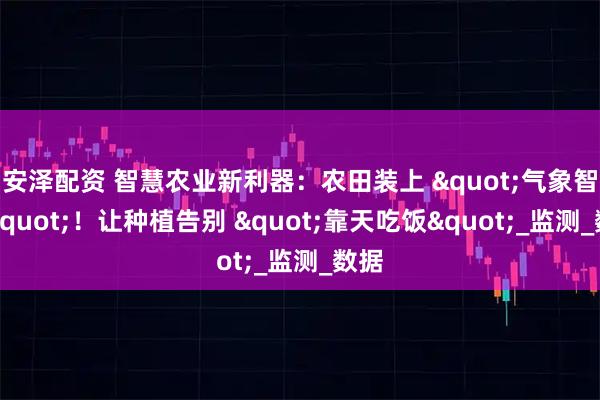 安泽配资 智慧农业新利器：农田装上 "气象智囊"！让种植告别 "靠天吃饭"_监测_数据
